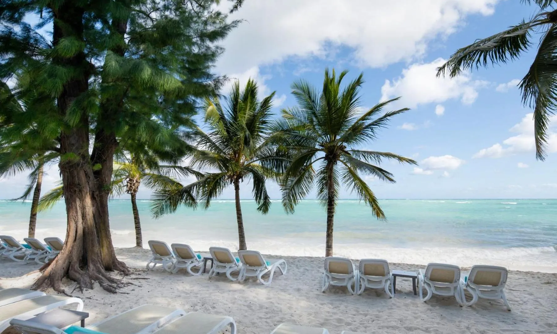 Impressive Punta Cana